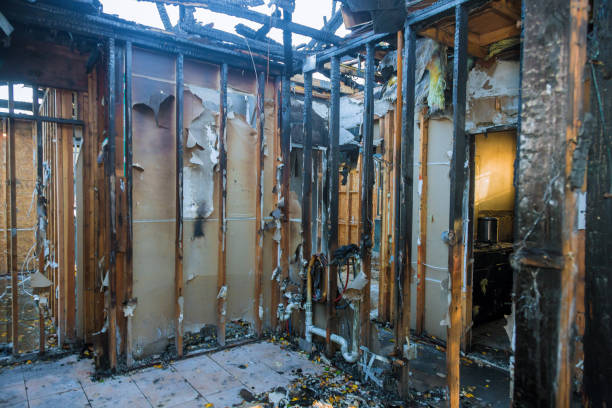 Professional Structural Rebuild technician working in Candler-McAfee, GA